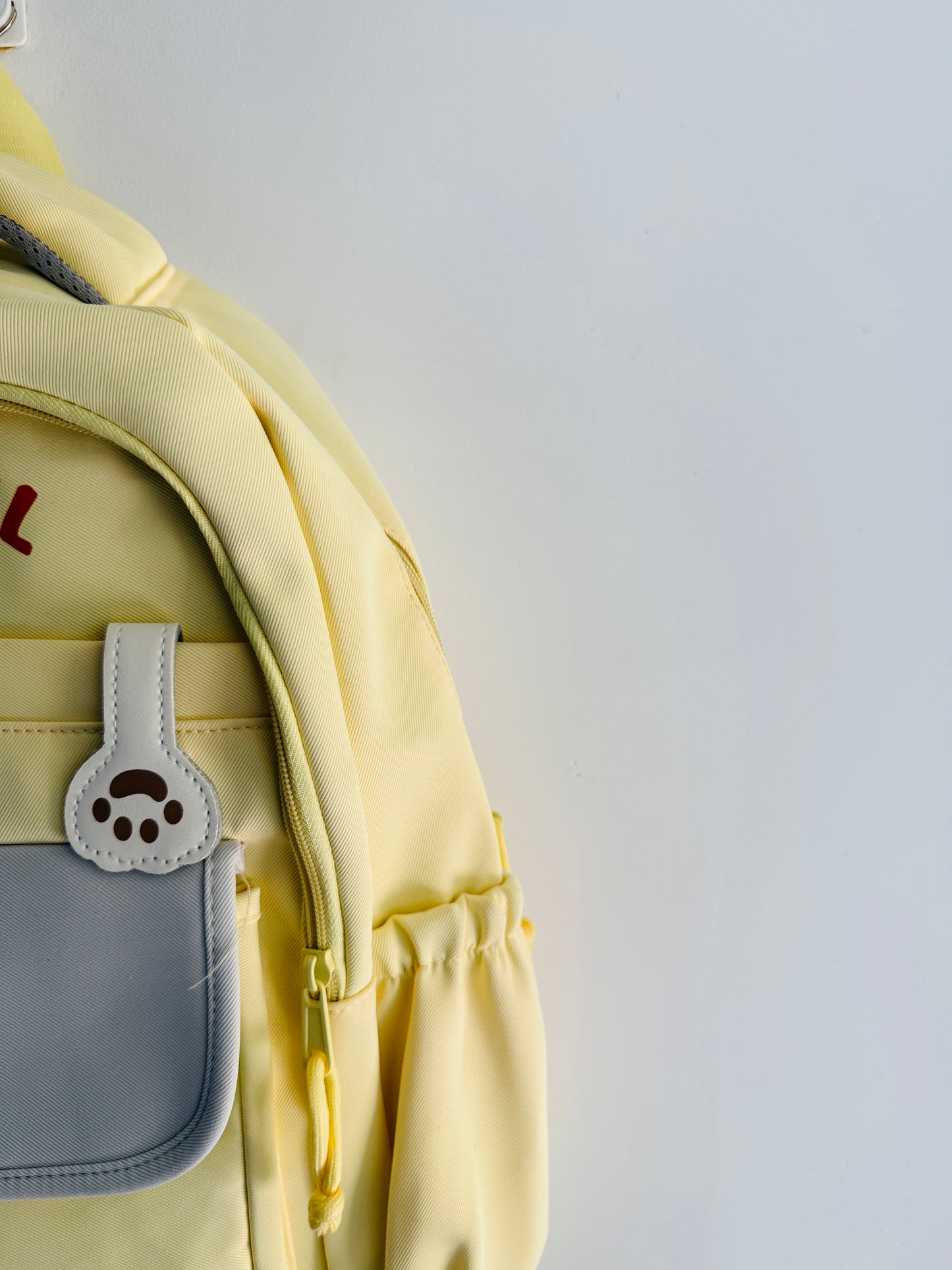 IMPORTED BACKPACK 5O9-C6